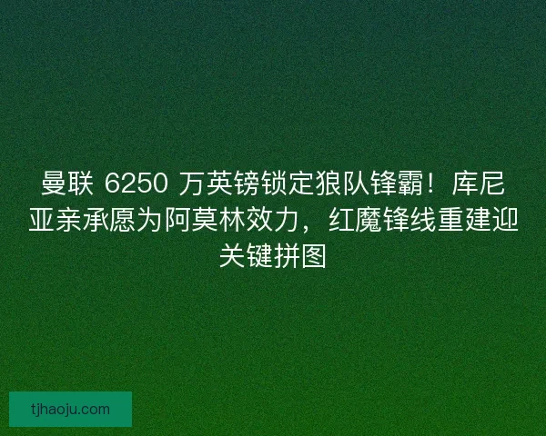 曼联 6250 万英镑锁定狼队锋霸！库尼亚亲承愿为阿莫林效力，红魔锋线重建迎关键拼图