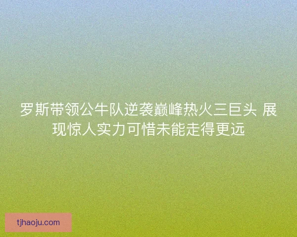 罗斯带领公牛队逆袭巅峰热火三巨头 展现惊人实力可惜未能走得更远