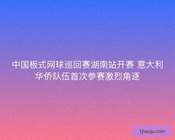 中国板式网球巡回赛湖南站开赛 意大利华侨队伍首次参赛激烈角逐 中国板式网球巡回赛湖南站开赛 意大利华侨队伍首次参赛激烈角逐