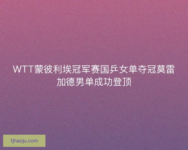 WTT蒙彼利埃冠军赛国乒女单夺冠莫雷加德男单成功登顶 WTT蒙彼利埃冠军赛国乒女单夺冠莫雷加德男单成功登顶