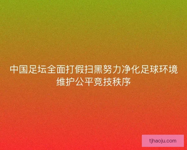 中国足坛全面打假扫黑努力净化足球环境维护公平竞技秩序 中国足坛全面打假扫黑努力净化足球环境维护公平竞技秩序